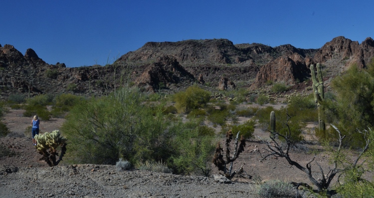 air force range desert floor